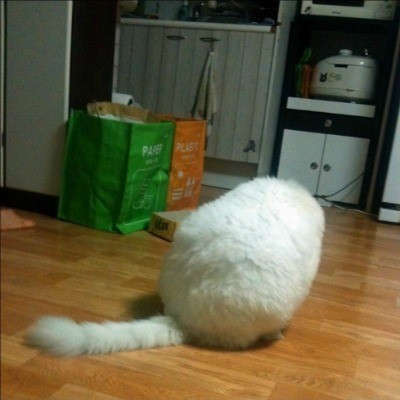 여자들이 반할 수 밖에 없다는 뒷모습 ㄷㄷㄷ.JPG | 인스티즈